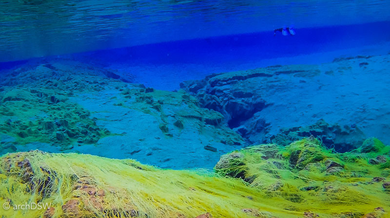 71_160719_Silfra-fissure-04 71_160719_Silfra-fissure-04