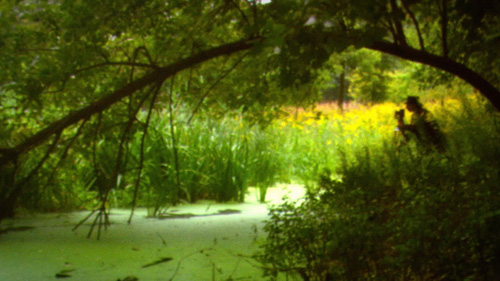 JENSEN-PHOTOGRAPHS-WILD