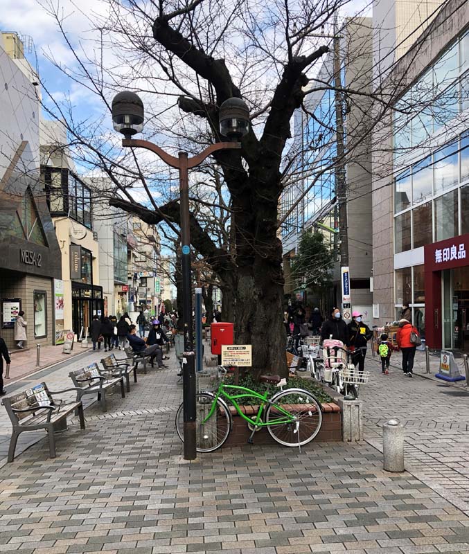 outdoor mall with pedestrian walkway