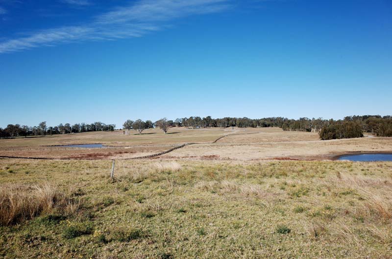 13. Tocal Pasture