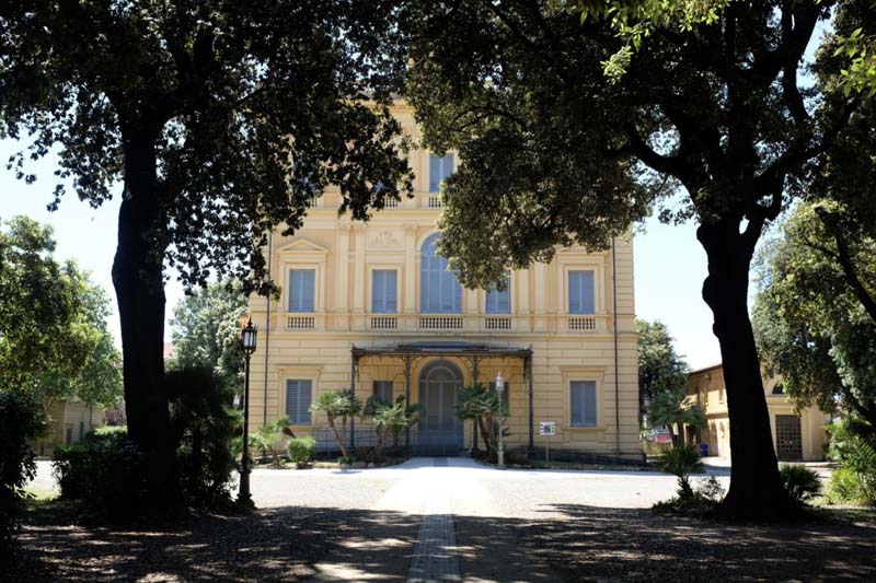 Two tall trees frame a building with large windows with the sun shining on it