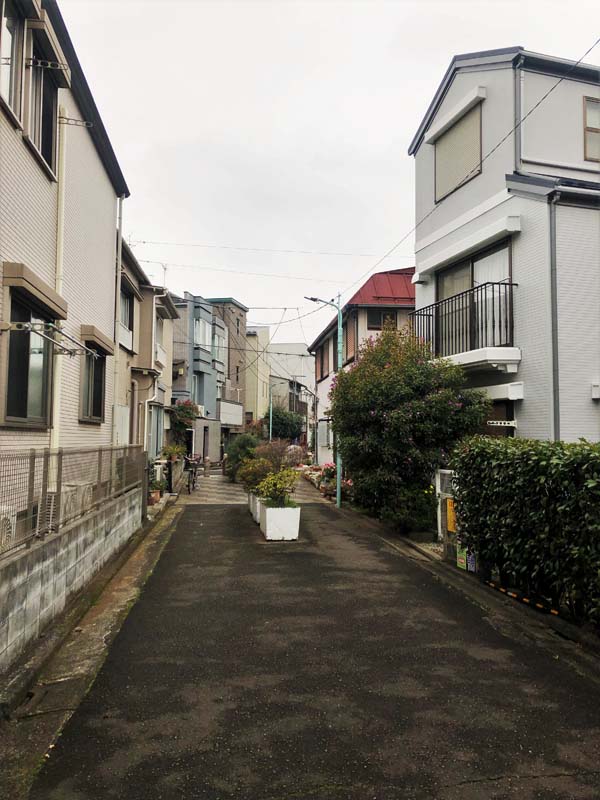 walkway with planters flanked by buildings