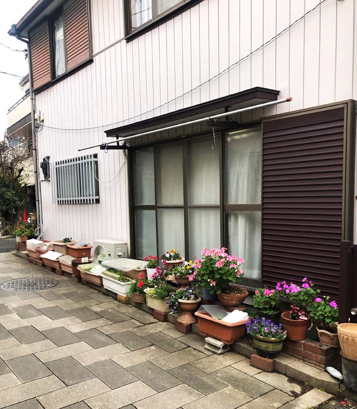 plants and planters along base of building