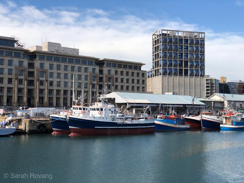 24ZeitzMOCAA-bayview 24ZeitzMOCAA-bayview