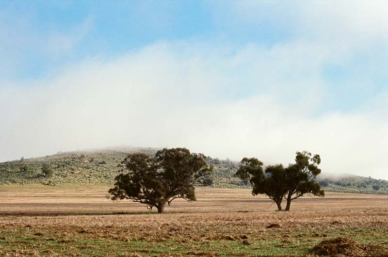 25. Wimmera