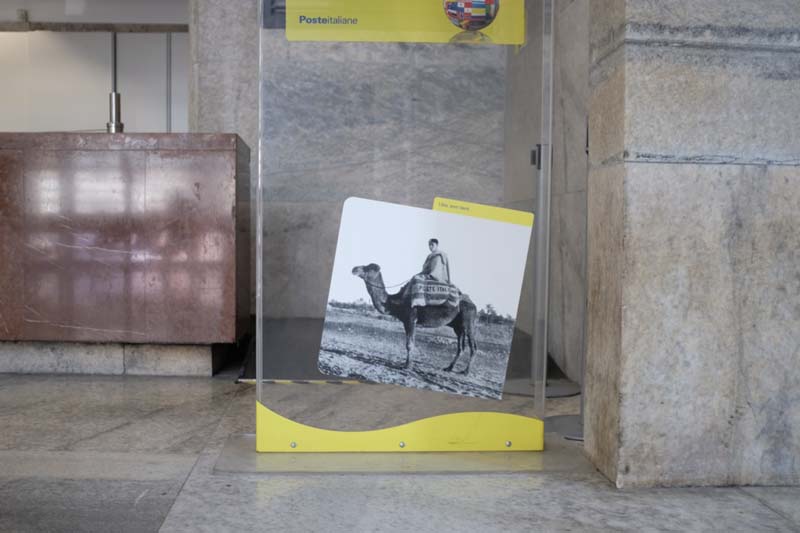 A black and white photograph of a person riding a camel displayed on a sign