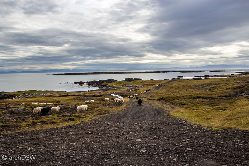 3_160916_Westfjords-20