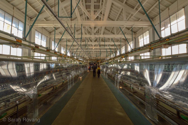 40-TomiokaSilkReelingPlant 40-TomiokaSilkReelingPlant