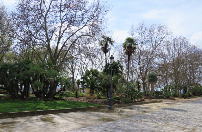 trees and grass park set against paved walkway