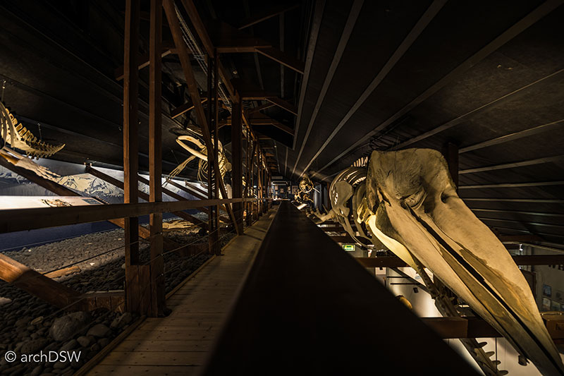 78_160920_H+¦sav+¡k-WhalingMuseum-05-HDR 78_160920_H+¦sav+¡k-WhalingMuseum-05-HDR