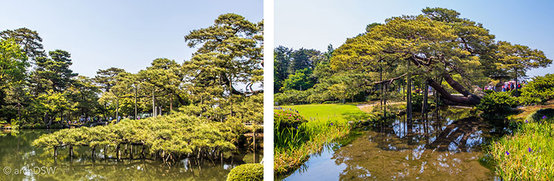 8_170522_Kanazawa-Kenrokuen-pair 8_170522_Kanazawa-Kenrokuen-pair