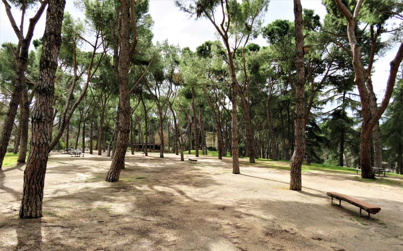 sandy parkland with bunker in distance