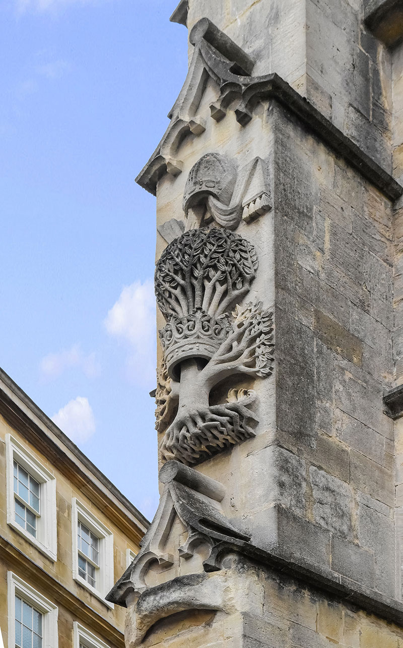 Fig-29 olive oil tree Bath Abbey