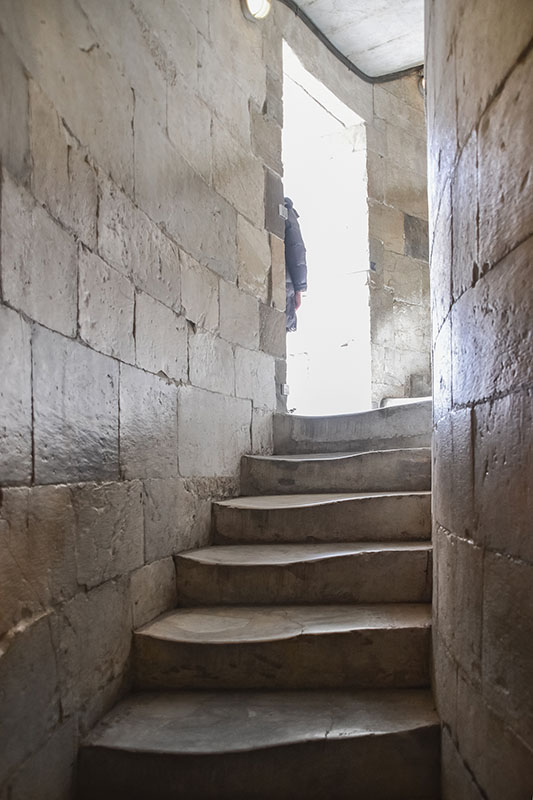 Fig. 46 Tower of Pisa
