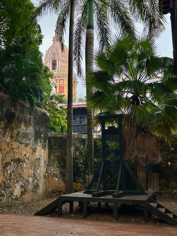 platform surrounded by palm trees
