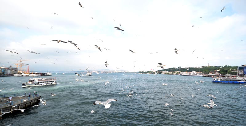 view of Bosporus from Galata Bridge