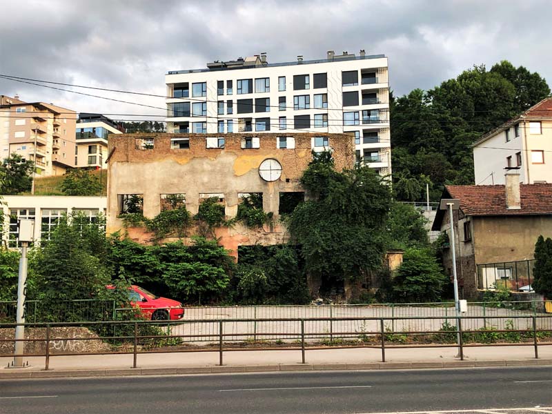 abandoned building with trees growing out of it