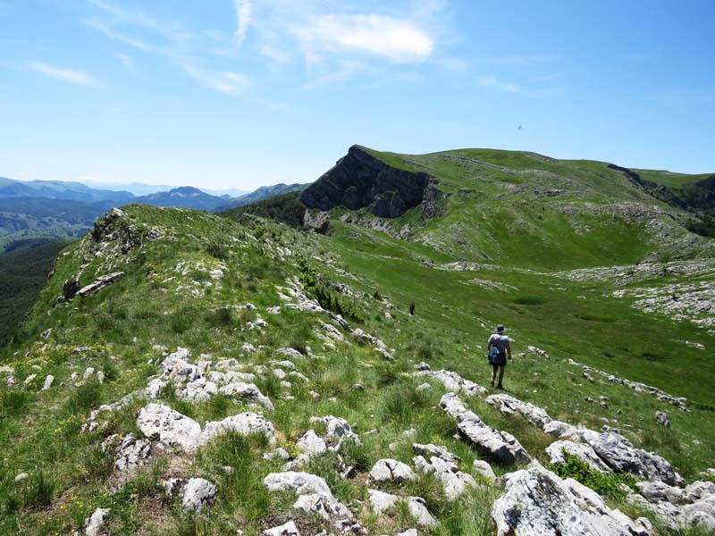 rocky hills