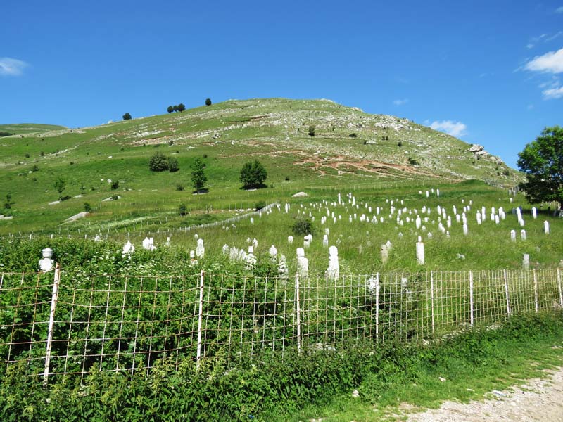 view of hill from dirt path