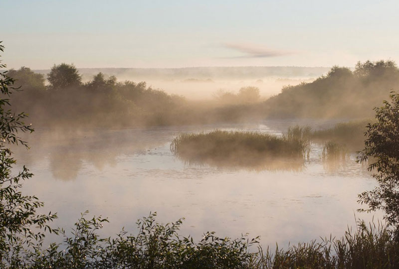 Chicago_Marsh-800x540