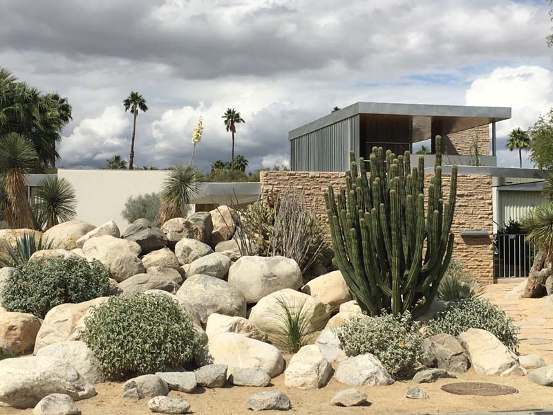 small boulders and cacti in foreground, house of glass, steel and stone in background