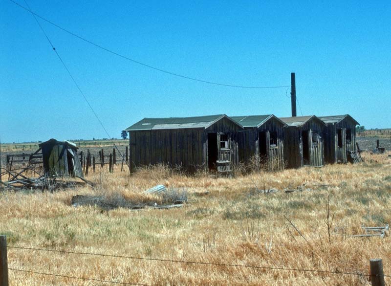 Migrant worker housing, near Los Banos, Merced, California, early 20th century