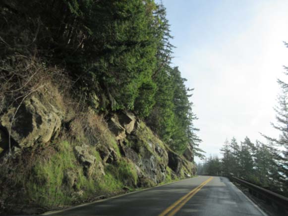 Chuckanut Drive, near Bellingham, Washington (photo courtesy of Lynette Felber)