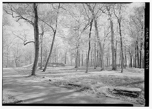 Shiloh Indian Mounds