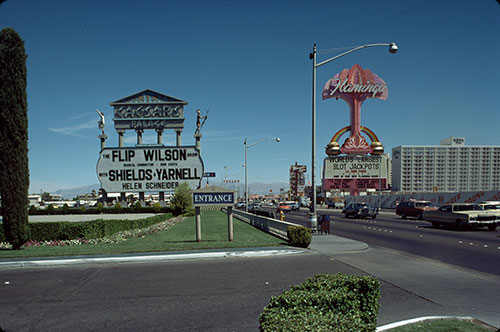 6-Caesar&#39;s-Flamingo-signage-S_4292