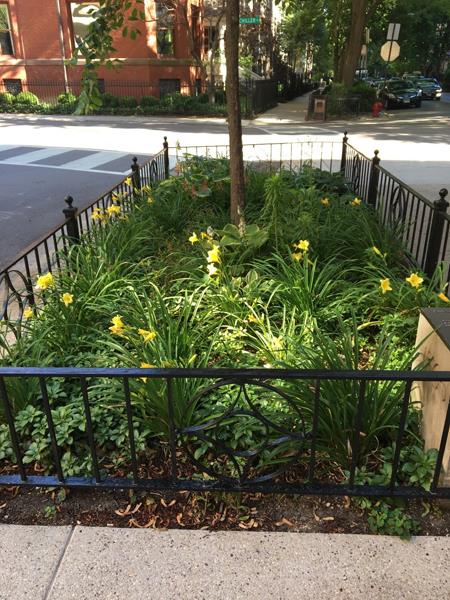 CPH_pkwy_garden_rotated_small CPH_pkwy_garden_rotated_small
