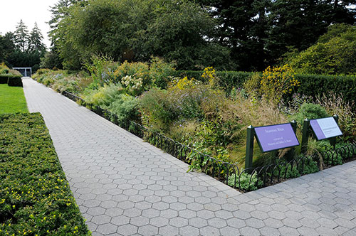 Study Day The New York Botanical Garden An Oasis In The Metropolis