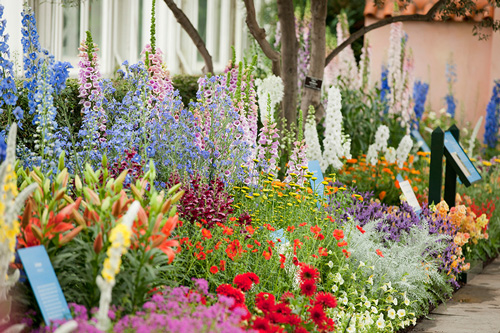 gardens03