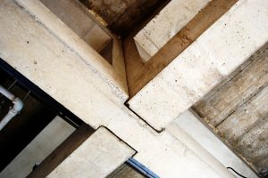 Lab ceiling structural system of interlocking concrete beams